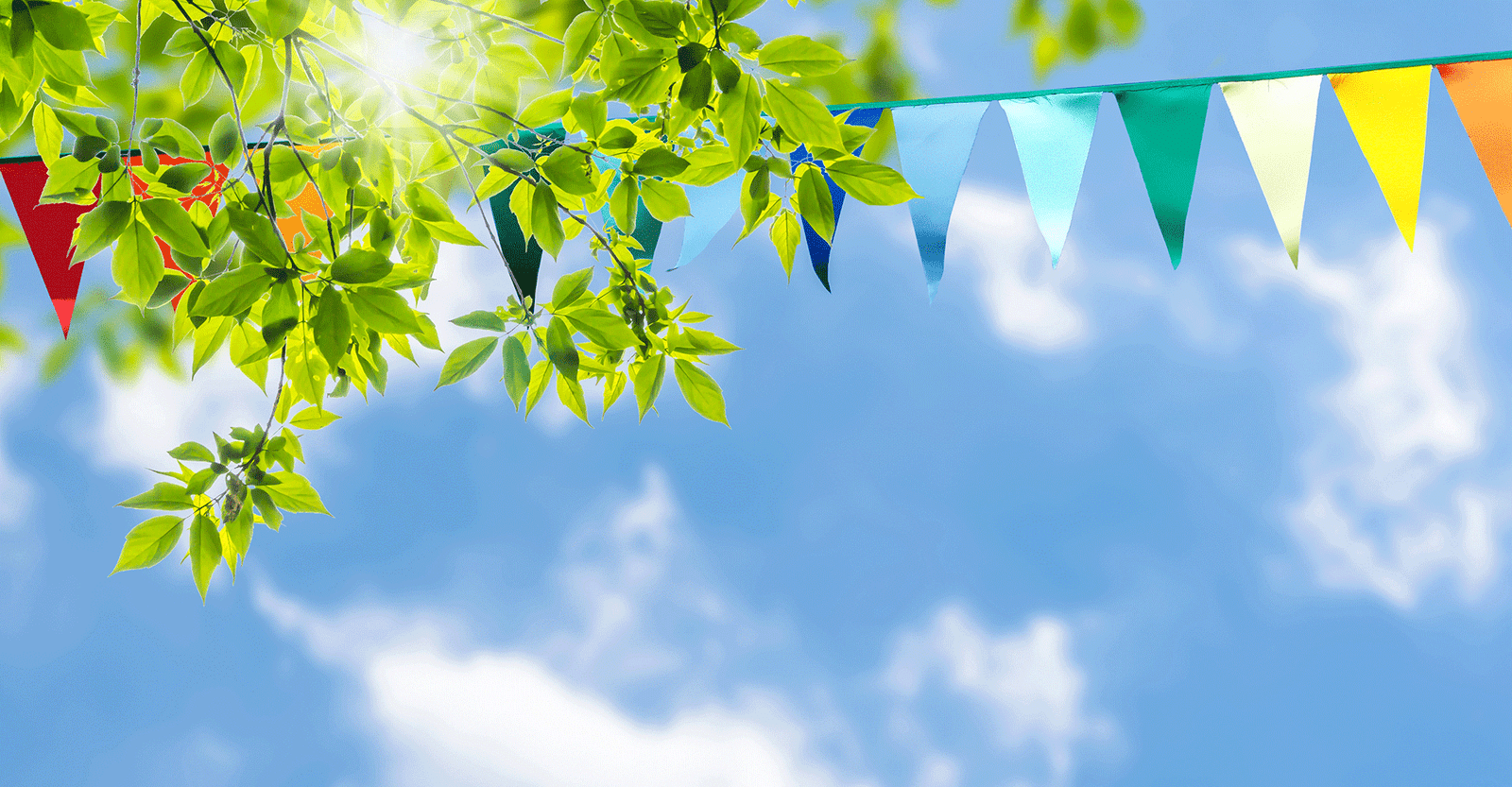Sunlight-sky-and-bunting Sunlight, sky and bunting pic